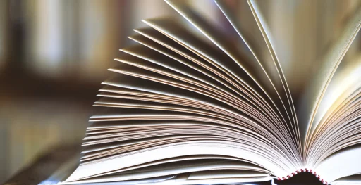 Alum Visits History Class