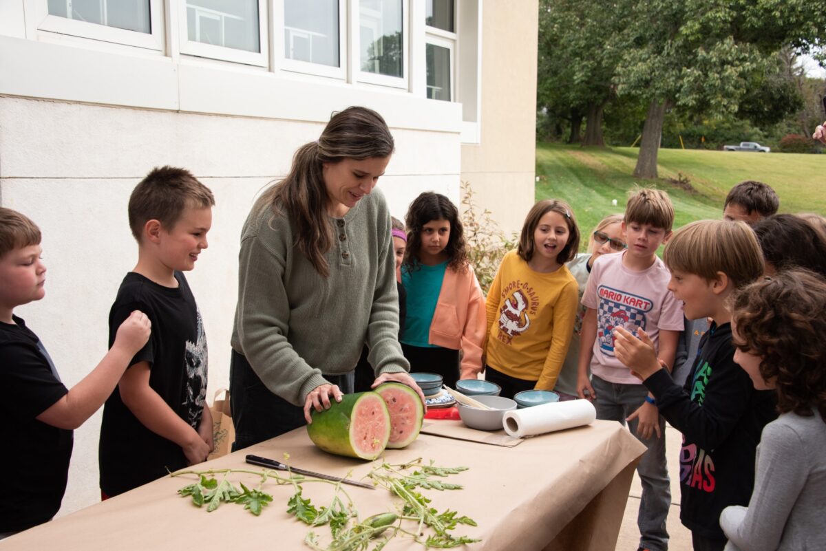 3rd grade students harvesting watermelon seeds