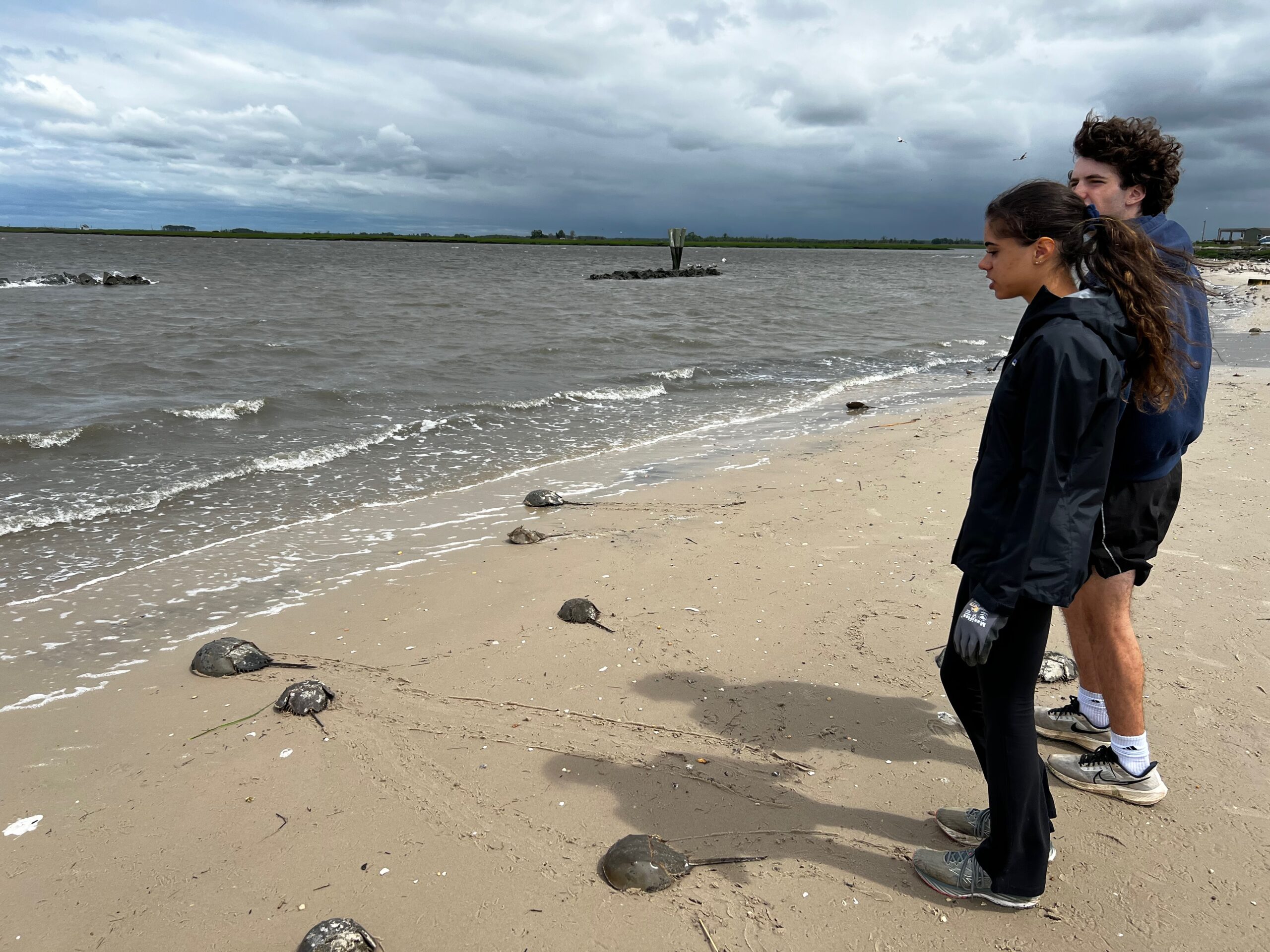 Environmental Science and Biology Students in the Field