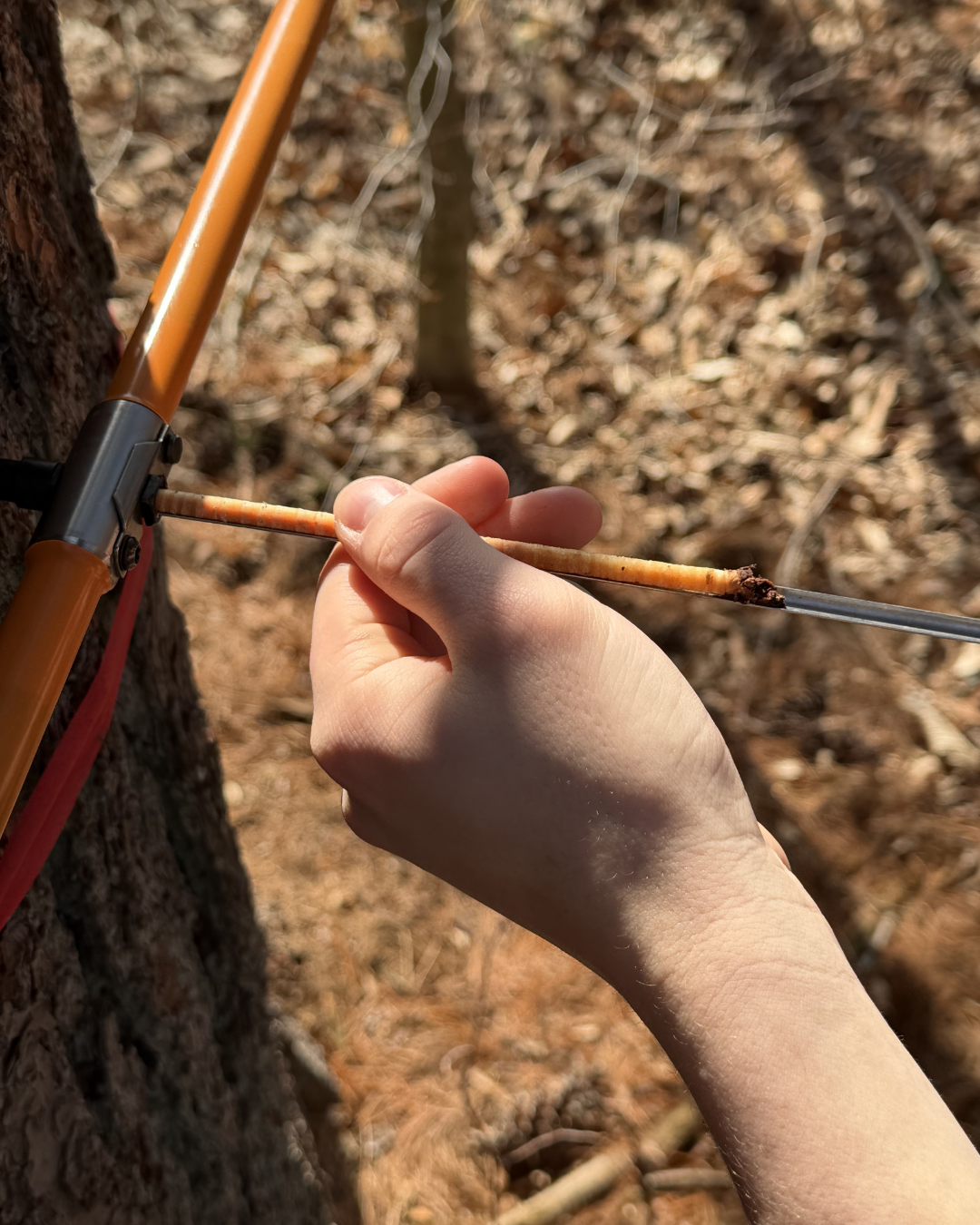 Science Rooted in Place: Forest Field Study
