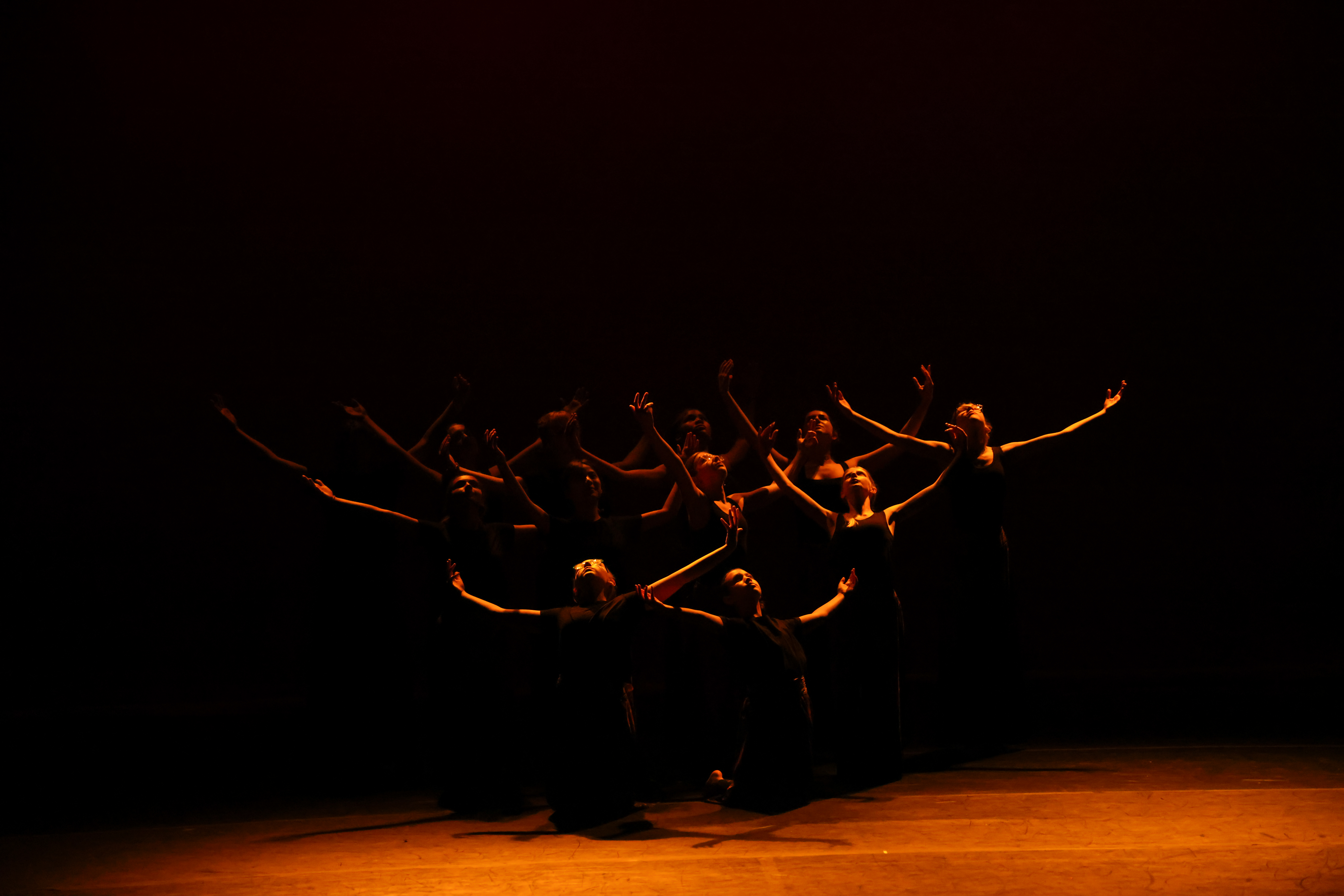 A Bouquet of Movement